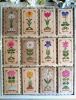1_un-anno-in-fiore-cuore-e-batticuore.thumb.jpg.897fb576317f175022fc746ad6a110ec.jpg