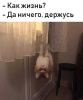 1de0e19d2bcaab294b76f5d561d4ecd0.thumb.jpg.95a13a6ea247f1dcf4adfbcdab05d1ca.jpg