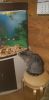 20181218_214538.thumb.jpg.45b93d29db38a9799c4a827d0a4afeb8.jpg