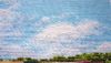 20190302_143246.thumb.jpg.a3e8448ad3114533cfc84882808055ee.jpg