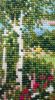20190302_143335.thumb.jpg.ab054e9bc2b815fb3a890904452a48d3.jpg