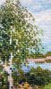 20190302_143341.thumb.jpg.c50fbe93051ea645dee42e4b471f1765.jpg