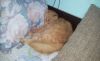 20190307_133944.thumb.jpg.ddf6795e2cf3c56ef75c33cf8bf67924.jpg