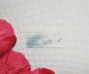 20190308_154558.thumb.jpg.0eb4619f531f0cb4e53648269c77beb3.jpg