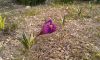 20190310_174018.thumb.jpg.c98b5cb34fa7ebab54f778578b012ca2.jpg