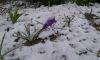 20190312_182248.thumb.jpg.d999cc79cf27def500b80432ec550c72.jpg