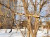 20190313_171622.thumb.jpg.1fff59205305269b453f64e4ffaf68e6.jpg