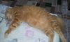 20190315_152820.thumb.jpg.836f18803d68dfea26367c04ebf23b19.jpg