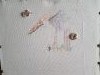 20190319_075817.thumb.jpg.01c1d77d51c3a301b2209426610aa077.jpg?1552980454305