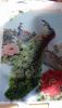20190324_094601.thumb.jpg.deb2547805523f0294ee079e5545cbb2.jpg