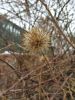 20190324_132014.thumb.jpg.2bb5524cddd12e20a51461327ff845f0.jpg