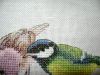 20190329_162241.thumb.jpg.2fae88780e0a1fa7a9188bf357b300e2.jpg