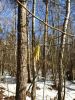20190331_132334.thumb.jpg.ace1e42ffd4d090373f524c65343a5f0.jpg