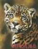 Kustom Krafts 97147, Jaguar Portrait