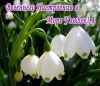 28965757_.thumb.jpg.d6d8f36e54352d4119f6b7ab3666ff38.jpg