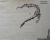 3.thumb.JPG.cbb941986d007db497f5a0dce2ce6c52.JPG