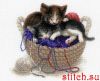 40796.thumb.jpg.96372cf1f1933bbd420f28e70632c0cc.jpg