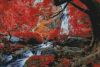 red Falls.jpg