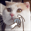 78913.gif.784d7d1e6d94bd874ff18acb4677c6e8.gif.3b2b53dd0d388f375a4224beb285ef23.gif