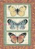 Dimensions 06914, Трио бабочек (Butterfly Triplex)