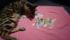DSC05367.JPG