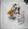 DSC08497.thumb.JPG.7c4c71b6e4d8c2e9eec562e8a839264d.JPG