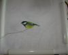 DSC08504.thumb.JPG.3b7a3dd86796ff1fba0b602f68281882.JPG