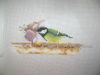 DSC08511.thumb.JPG.8bd90bf70363b95b00f263fee66bc019.JPG