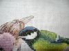 DSC08521.thumb.JPG.b777f2ab5cbeb6b8ce241139f6774aa6.JPG
