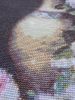 DSCN3184.thumb.JPG.c71a16f84ea0041bf4335233987df5c9.JPG
