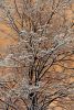 DSC_0481.thumb.JPG.346460da953655a9e26e0bdb1c3292b7.JPG