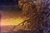 DSC_0540.thumb.JPG.20b0784761c7e43dd4f49ebad1c2d47e.JPG
