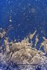 DSC_0545.thumb.JPG.c9ce62e9bb8cea8bb4d86fcec202c61a.JPG