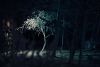 DSC_0606.thumb.JPG.915319fddba6b0b81a3e20f3c4075767.JPG