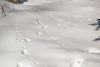 DSC_0773.thumb.jpg.a26b23ccf3d83e02d5abbe197fc28d3b.jpg