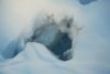 DSC_0811.thumb.jpg.065d7eadb9c6d94e0cdc16fa9962973a.jpg
