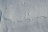DSC_0831.thumb.jpg.94f1df001c8c9c0b65723b9a3cf77777.jpg