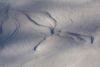DSC_0836.thumb.jpg.a1ab84c2ccbf1f69b2431440049fad21.jpg