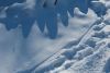 DSC_1032.thumb.jpg.c61ec80581b73c78f245dde5877d54ab.jpg