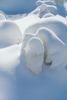 DSC_1035.thumb.jpg.0761ff56ff9e63d2fd046fc7bdcb5894.jpg
