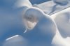 DSC_1036.thumb.jpg.15d2aaeedfd929a5ca1da5215139f7c2.jpg