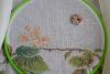 DSC_2764.thumb.JPG.577207bf897d15026f56725ab1efbd17.JPG