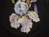 DSC_7837_.thumb.jpg.0f648a1758e03013617c9f119bf53ca0.jpg