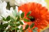 DSC_7885.thumb.JPG.0c147d81b27c4c77a74c3134a8880a54.JPG