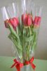 DSC_7890.thumb.JPG.c919dcdf9d536cfb2a31aab926a34028.JPG