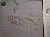 Eagle1.thumb.JPG.e8c3f3996eeb0c110ad2633bc724b795.JPG