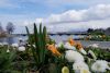 IMG-20190302-WA0003.thumb.jpg.07941784154a8fa4834009c1655ee688.jpg