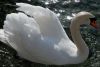 IMG-20190305-WA0016.thumb.jpg.761e5db0eb14e29bc48846d81f3ccc10.jpg