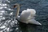 IMG-20190305-WA0019.thumb.jpg.88fb0f2ce220480ef2611fcd8da10262.jpg