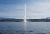 IMG-20190305-WA0025.thumb.jpg.80f669ac3e78afebce487e5507eb05f9.jpg